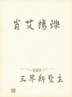 肖艾杨烁封面