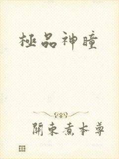 极品神瞳封面