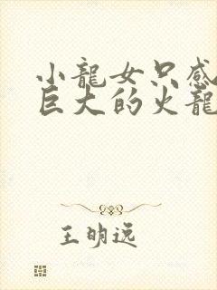 小龙女只感觉那巨大的火龙枪封面