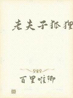 老夫子狐狸仙