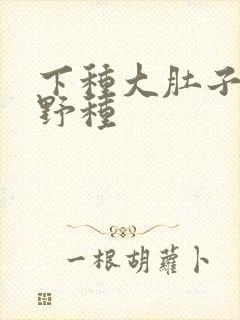 下种大肚子怀孕野种