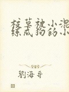 校草被小混混训练成狗的小说封面