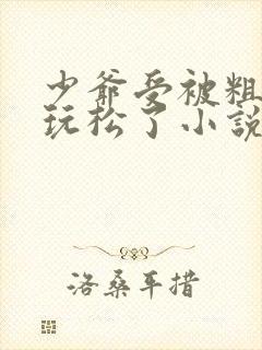 少爷受被粗汉H玩松了小说封面