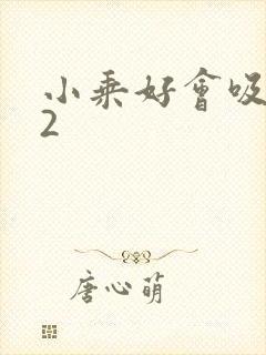 小乘好会吸1V2封面