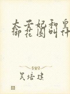 太子妃和皇帝在御花园叫什么小说