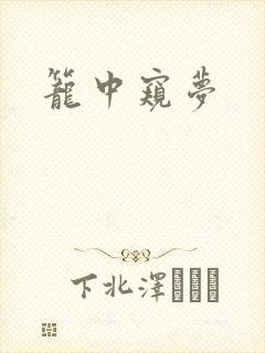 笼中窥梦