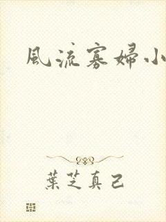 风流寡妇小说