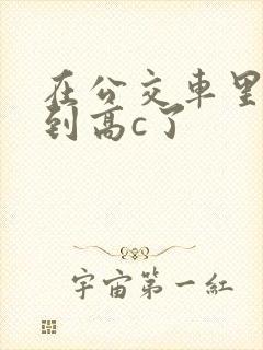 在公交车里c弄到高c了封面