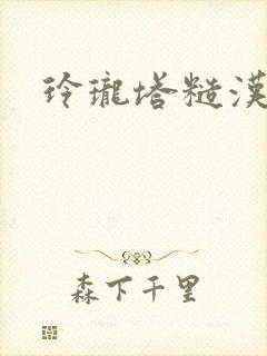 玲珑塔糙汉租客