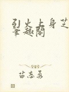 引火上身芝麻糖笔趣阁