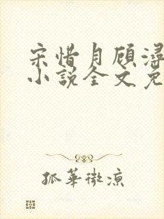 宋惜月顾浔渊的小说全文免费阅读