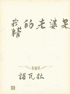 我的老婆是狐狸精封面