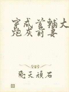 穿成首辅大人的炮灰前妻
