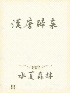 汉唐归来
