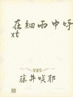 在细雨中呼喊txt