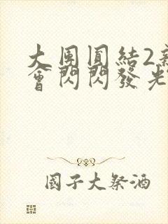 大团圆结2亲情会闪闪发光亲情会2