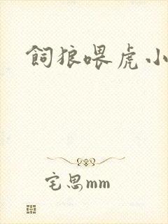 饲狼喂虎小说封面