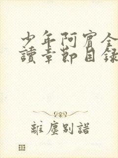 少年阿宾全文阅读章节目录