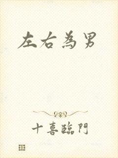 左右为男封面