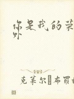 你是我的荣耀番外封面