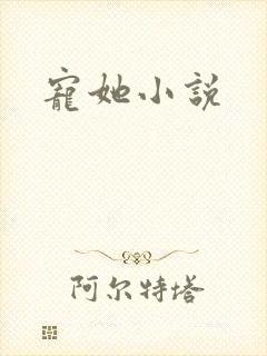 宠她小说