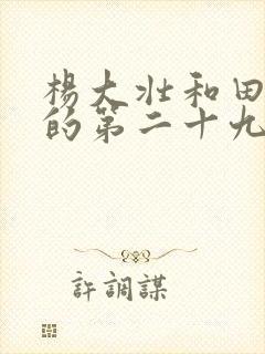 杨大壮和田桂花的第二十九