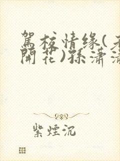 驾校情缘(老树开花)孙潇潇笔趣阁