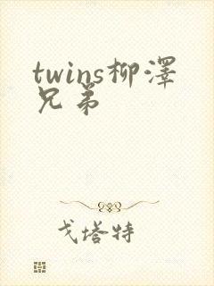 twins柳泽兄弟封面