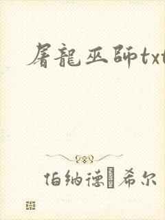 屠龙巫师txt封面