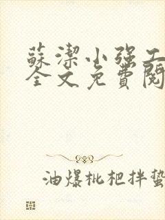 苏洁小强工地情全文免费阅读