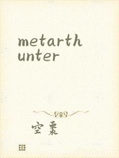 metarthunter封面