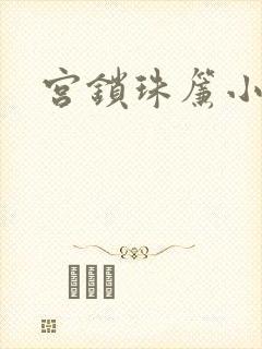 宫锁珠帘小说