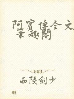 阿宾传全文阅读 笔趣阁封面