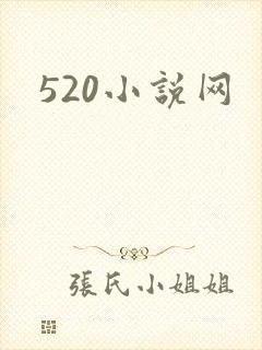 520小说网