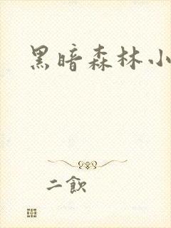 黑暗森林小说
