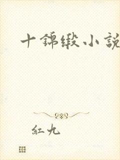 十锦缎小说