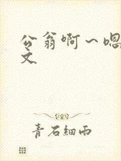 公翁啊～嗯啊h文