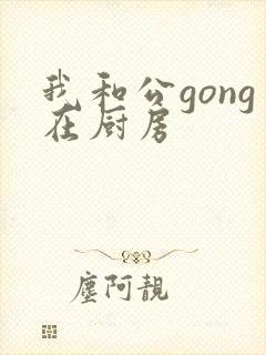 我和公gong在厨房封面