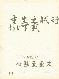 重生之贼行天下txt下载