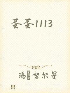 蛋蛋1113封面
