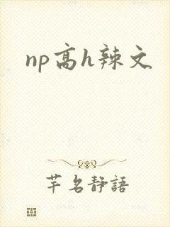 np高h辣文