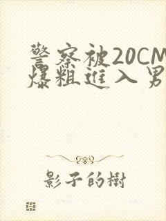 警察被20CM爆粗进入男男软件