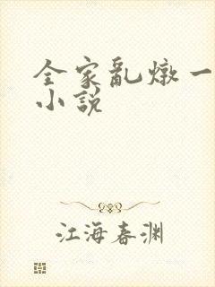全家乱炖一锅烩小说