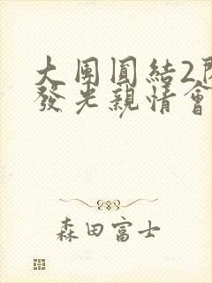 大团圆结2闪闪发光亲情会封面