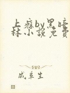 上瘾by黑暗森林小说免费封面