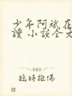 少年阿斌在线阅读 小说全文免费