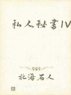 私人秘书1V1
