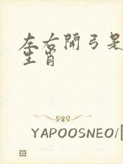 左右开弓是什么生肖