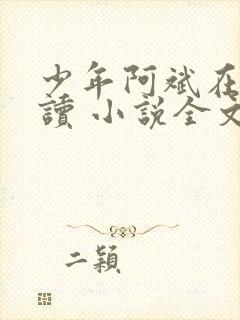 少年阿斌在线阅读 小说全文免费