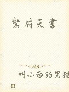 紫府天书